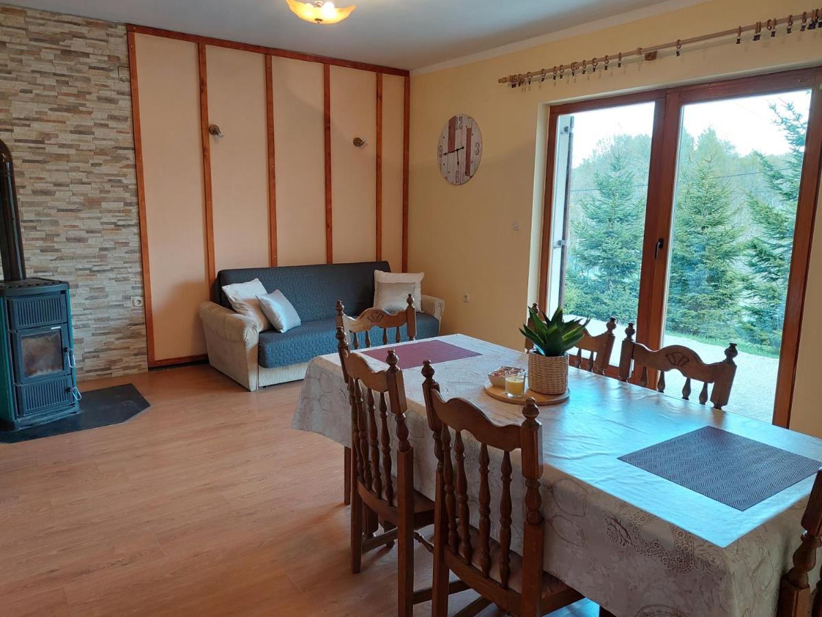 Holiday Home Cancarevic Ravna Gora Extérieur photo