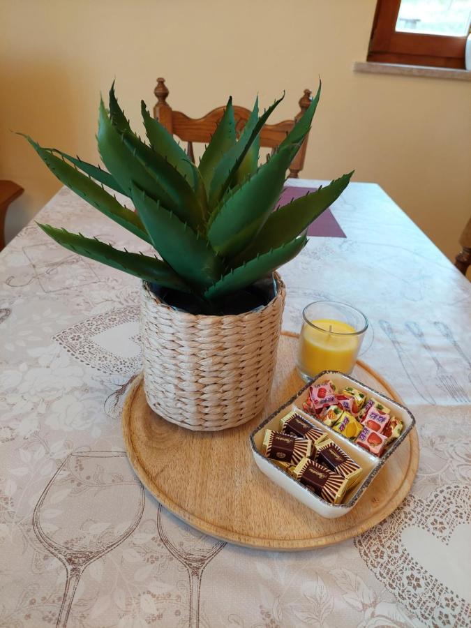 Holiday Home Cancarevic Ravna Gora Extérieur photo