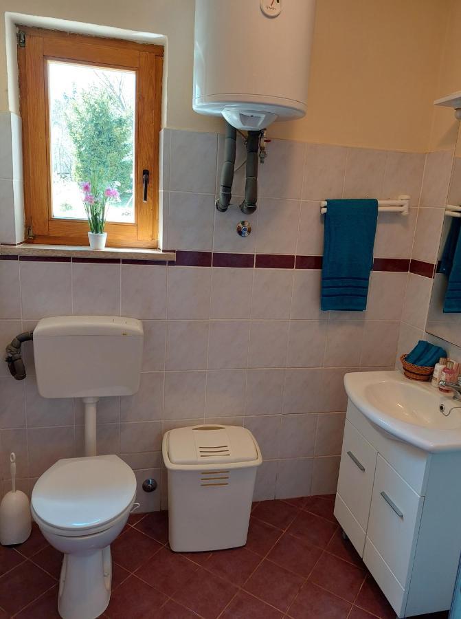 Holiday Home Cancarevic Ravna Gora Extérieur photo